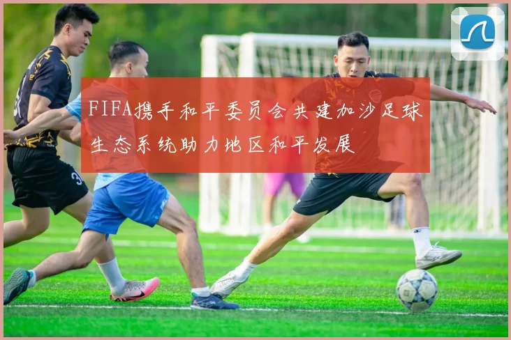 FIFA携手和平委员会共建加沙足球生态系统助力地区和平发展